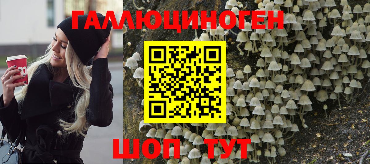Галлюциногенные грибы мухоморы Камень-на-Оби