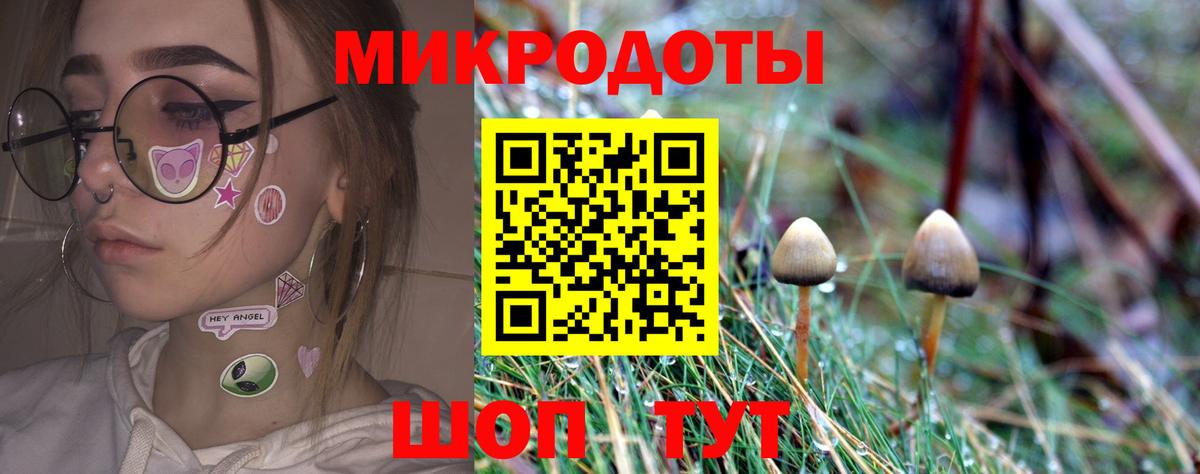 Галлюциногенные грибы Psilocybine cubensis  Вход с VPN  Камень-на-Оби 